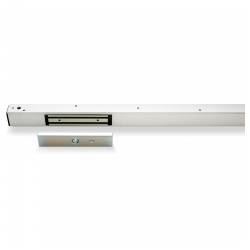 An image of Delayed Exit Slimline Magnet